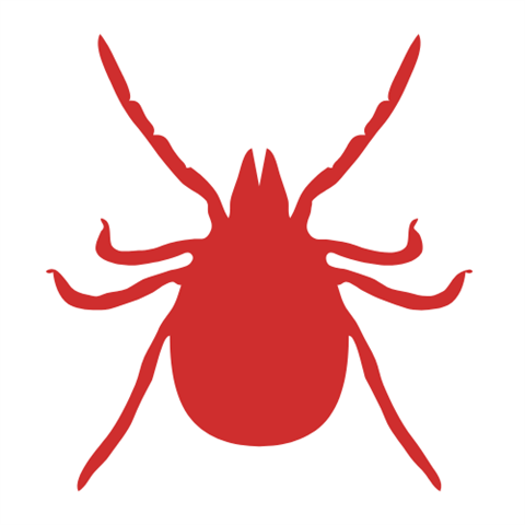 Red Graphic of a Tick
