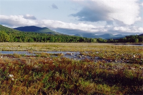 Landscape photo of a field with mountains in the background.