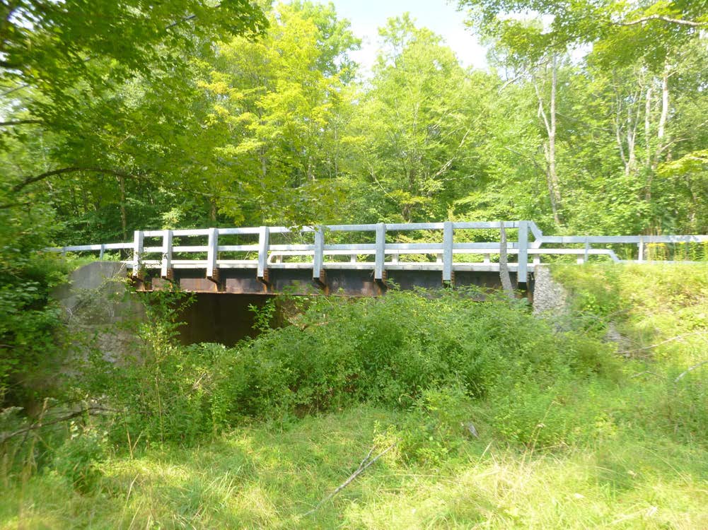 Photo of the Bridge at Beaver Kill Road over Scudder Brook
