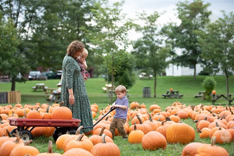 Photo of a family going pumpkin picking at Dubois Farms