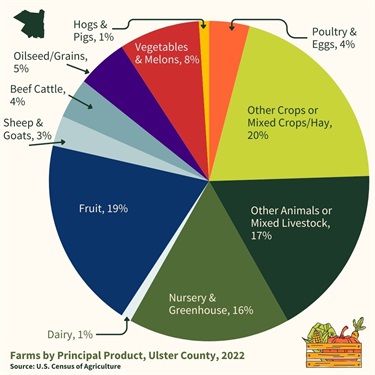 Infographic: Pie Chart of Farms by Principal Product, Ulster County, 2022. Mixed Crops - 20%; Fruit - 19%; Mixed Livestock - 17%; Nursery & Greenhouse - 16%; Vegetables & Melons - 8%