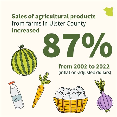 Infographic: Sales of agricultural products from farms in Ulster County increased 87% from 2002 to 2022 (inflation-adjusted dollars)
