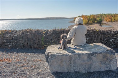 Woman and her dog looking out at the Ashokan Reservoir from the rail trail
